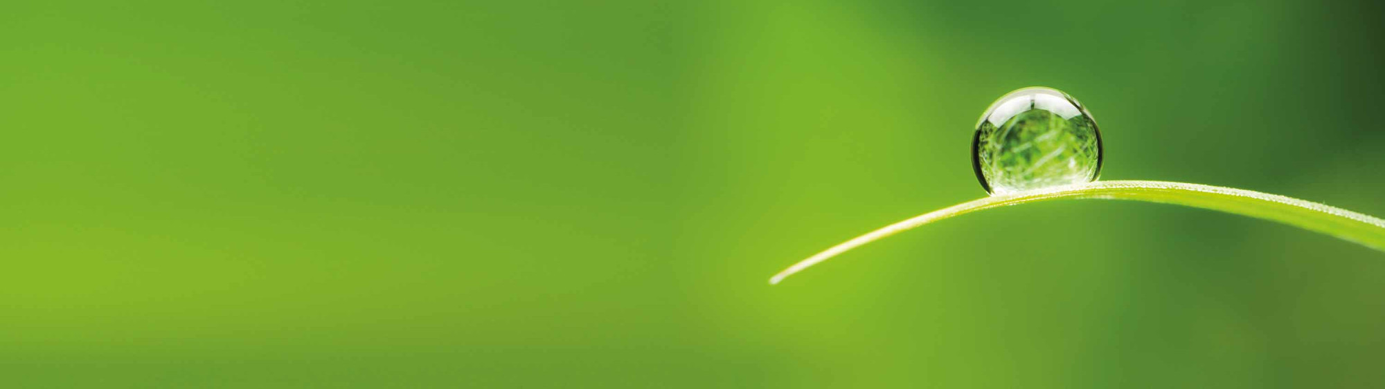 Geolock leakproof projects